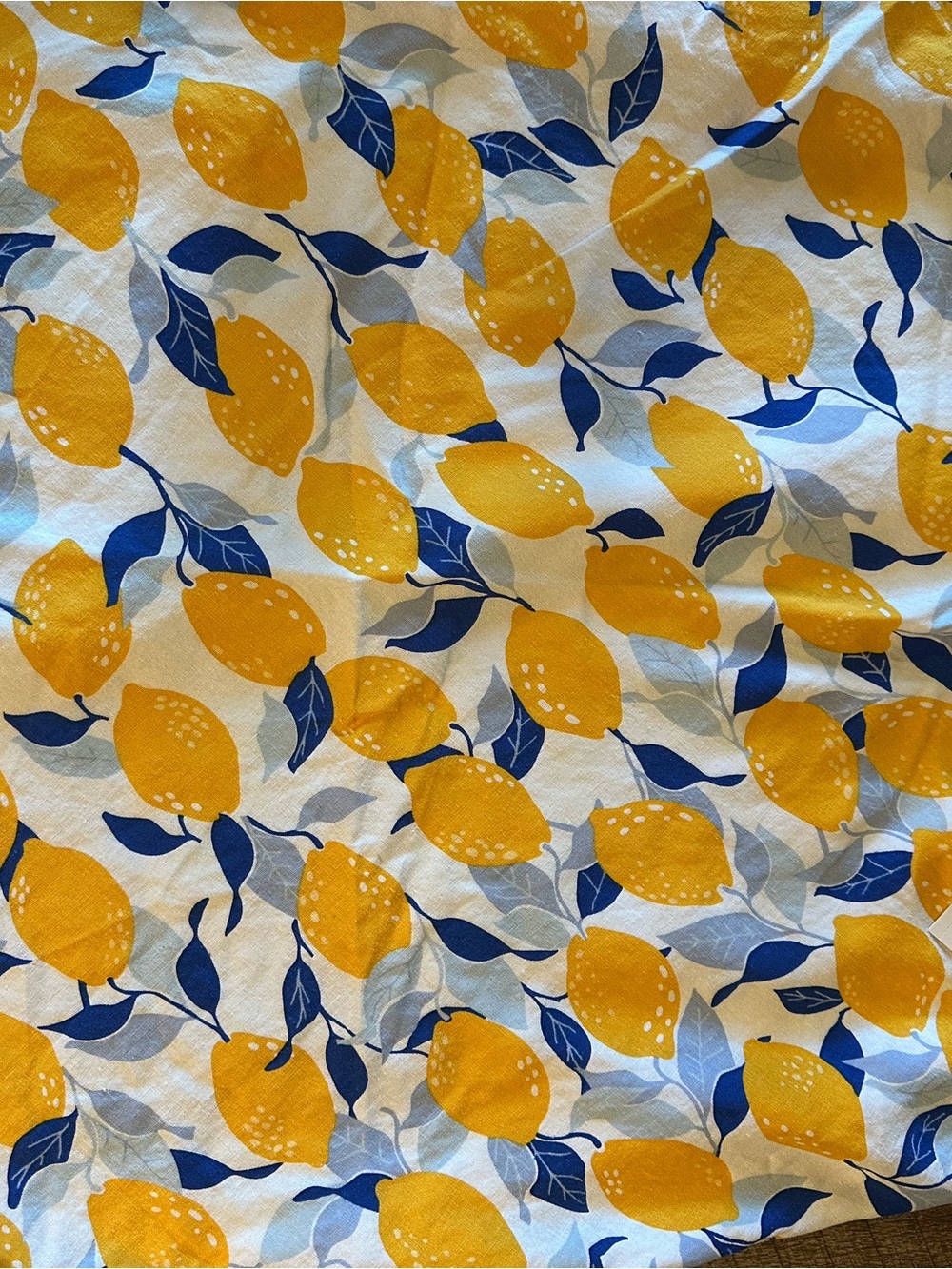 Lemon Print Blue & Yellow Cotton Fabric Skirt